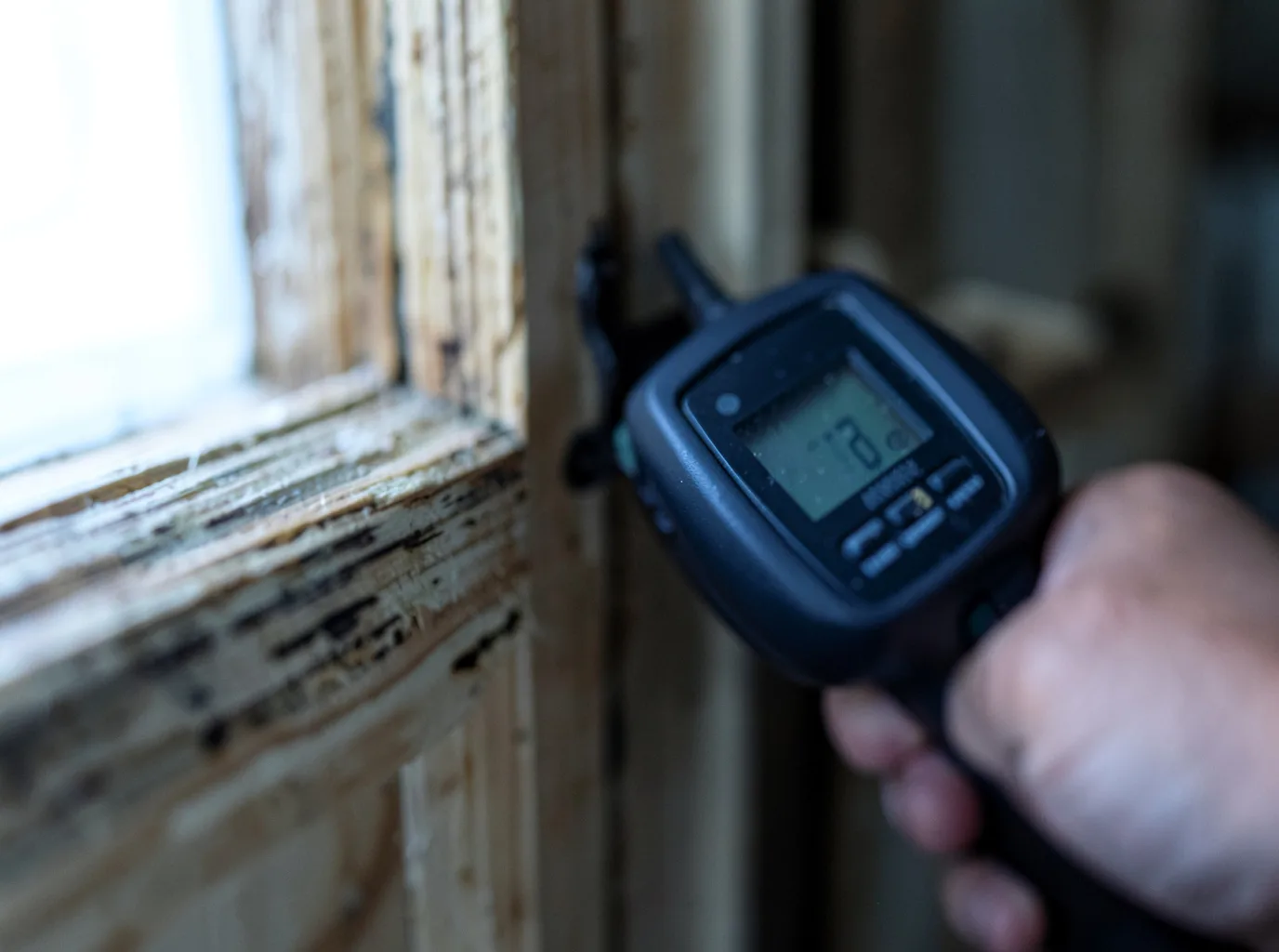 Moisture Inspection And Documentation in Callicoon, NY